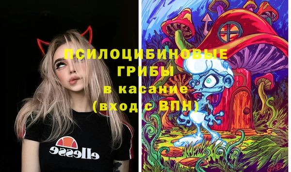 прущий лед Аркадак