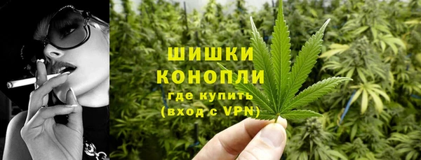 амф Арсеньев