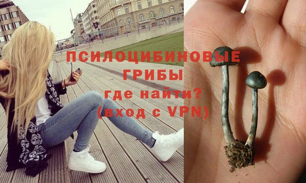 амф Арсеньев