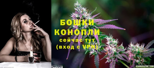 амф Арсеньев