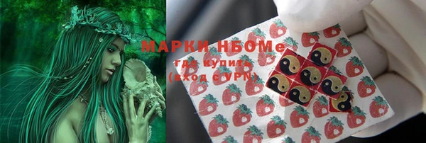 амф Арсеньев