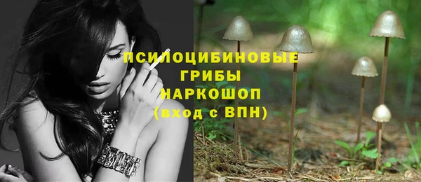 амф Арсеньев