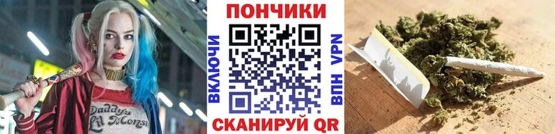 где купить наркоту Баксан ссылка на мегу ONION Шишки марихуана семена